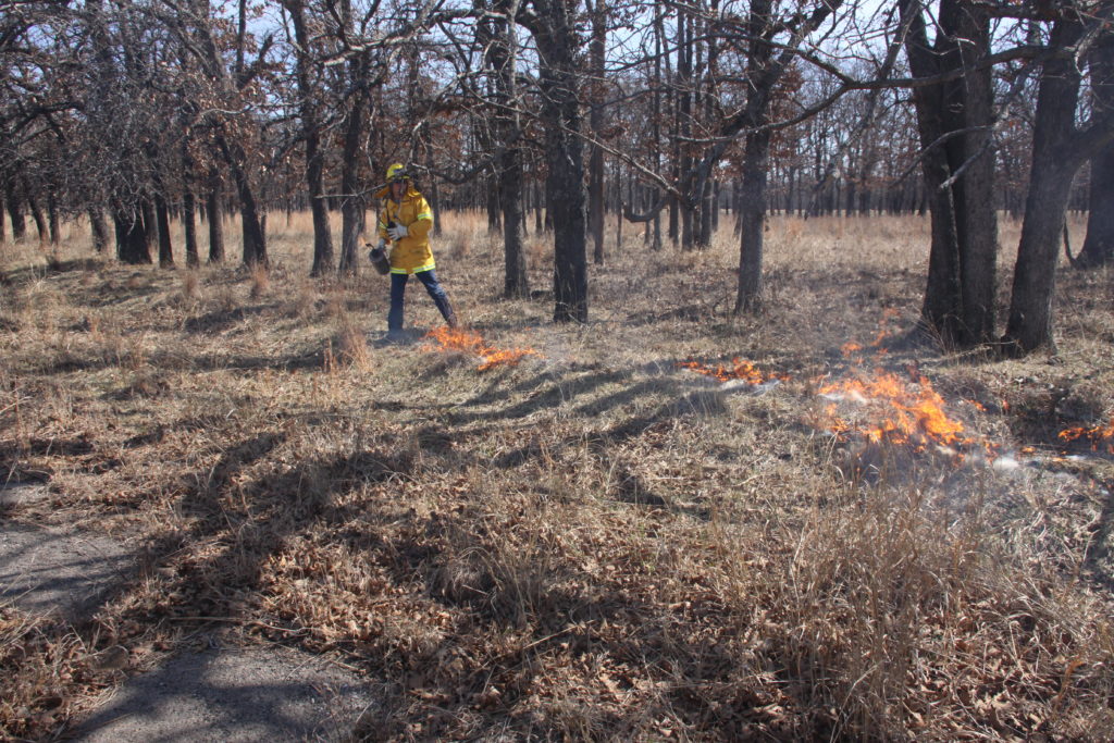 Image of a firefighter helping with the controlled burn